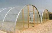Cold Frame Series 1000 Greenhouses- C Series