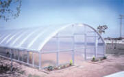 Cold Frame Series 1100 Greenhouses- C Series
