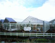 DF Garden Center Greenhouses