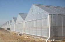 Commercial Gable 7500 Greenhouse