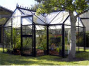 Victorian junior greenhouse for garden