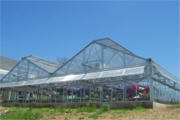 The MT Peaked Roof Greenhouse