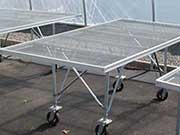 Greenhouse Bench on Wheels