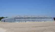 BK Greenhouses.