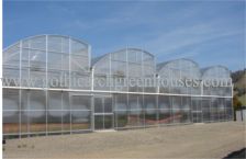 Commercial Free Air Greenhouse