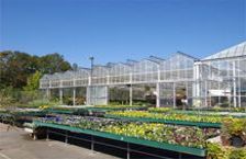 Retail Garden Greenhouses