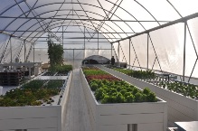 Commercial Classic Greenhouses