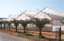 commercial AT Greenhouses - Plastic Greenhouse