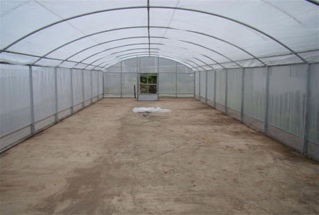 Insect Screen Greenhouse