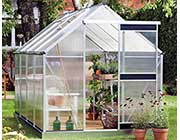 Juliana Basic.Greenhouses