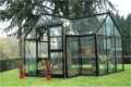 10x 12黑色初级维多利亚橙色玻璃温室