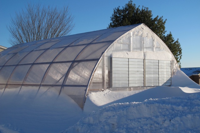 冬季温室种植技巧