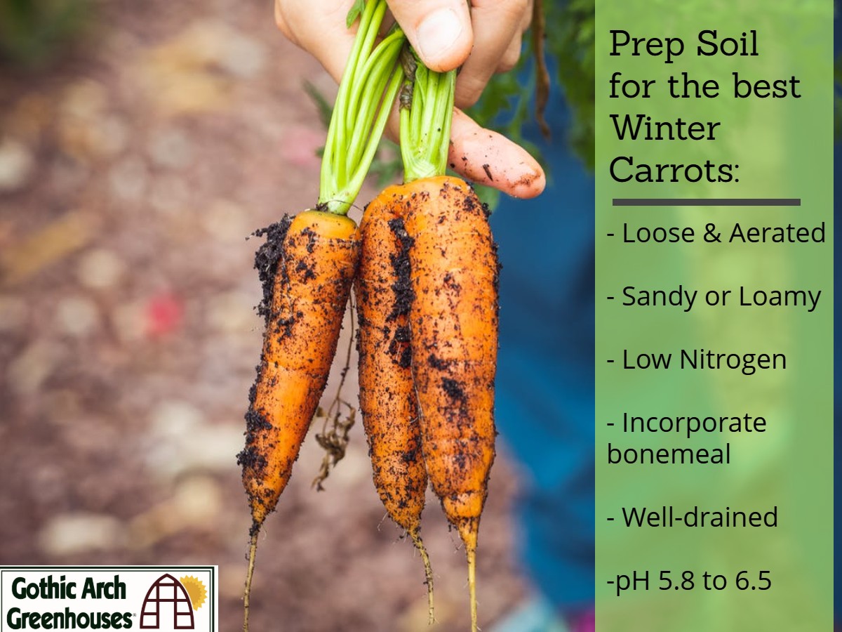 Soil Prep for Carrots