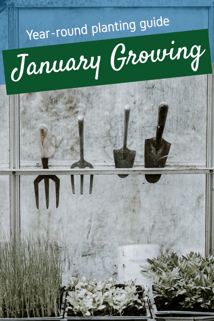 Planting calendar for year-round growing