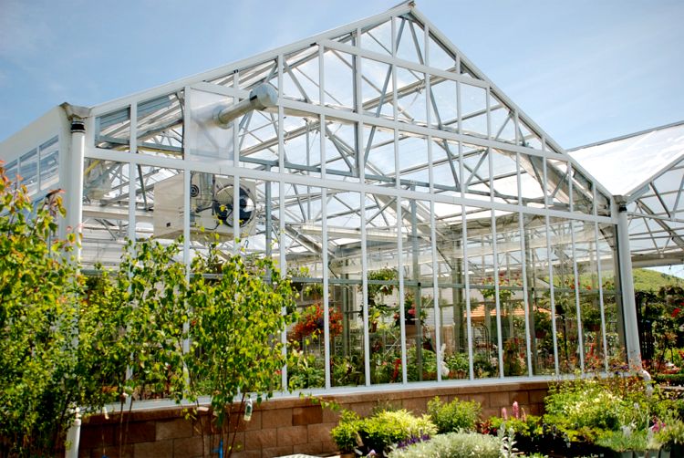 RGS Greenhouses.