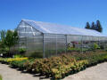 RGS Greenhouses.