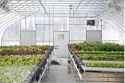 RGS Hydroponic Greenhouse