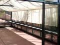 皇家维多利亚玻璃温室