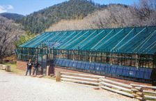 Commercial Glass Greenhouse Powder Coat Finish Green