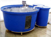 Aquaculture System