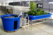 Aquaponics System