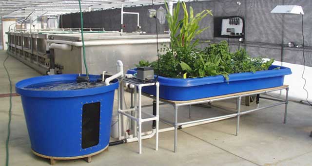 Aquaponics Systems