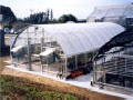 Cold Frame Series 1100 Greenhous