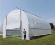 Extra-Tall High Tunnels