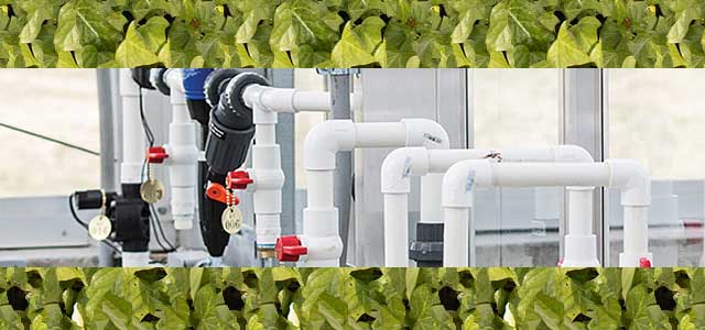 施肥器和灌溉系统