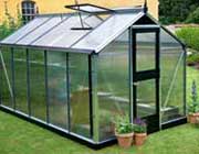 Juliana Compact.Greenhouse