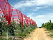 chromatinet-red-shade-cloth.htm