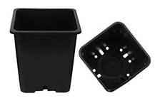 Premium Square Plastic Pots