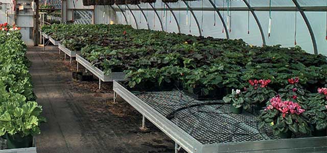 Commercial Stationary Greenhouse Benches